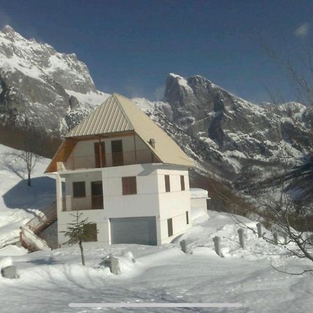 Alpbes Theth Guesthouse Shkodër Extérieur photo
